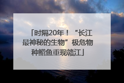 时隔20年！“长江最神秘的生物”极危物种鳤鱼重现赣江
