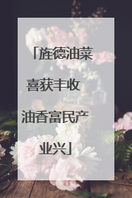 旌德油菜喜获丰收 油香富民产业兴