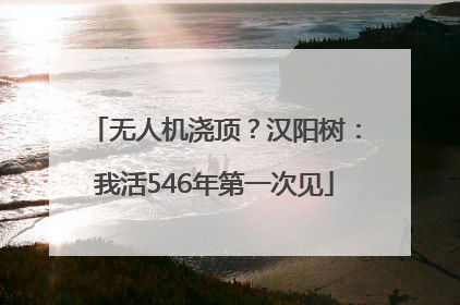 无人机浇顶？汉阳树：我活546年第一次见