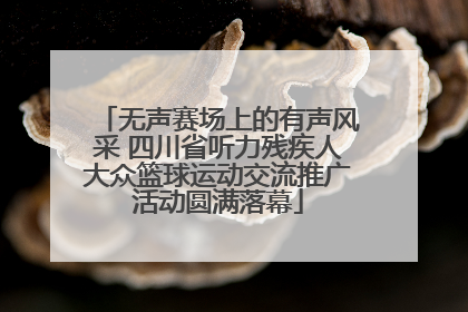 无声赛场上的有声风采 四川省听力残疾人大众篮球运动交流推广活动圆满落幕