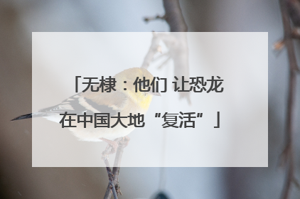 无棣：他们 让恐龙在中国大地“复活”