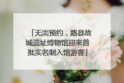 无需预约，路县故城遗址博物馆迎来首批实名制入馆游客