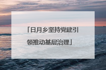 日月乡坚持党建引领推动基层治理