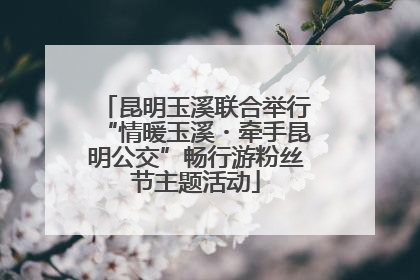 昆明玉溪联合举行“情暖玉溪・牵手昆明公交”畅行游粉丝节主题活动