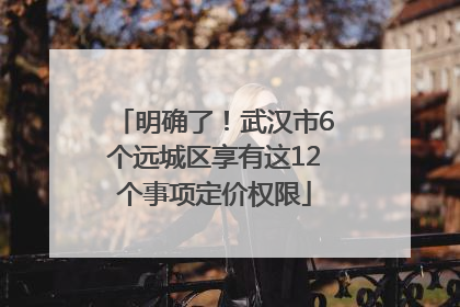 明确了！武汉市6个远城区享有这12个事项定价权限