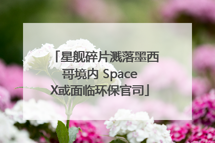 星舰碎片溅落墨西哥境内 SpaceX或面临环保官司