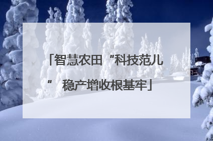 智慧农田“科技范儿” 稳产增收根基牢