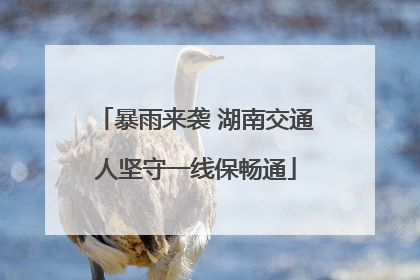 暴雨来袭 湖南交通人坚守一线保畅通