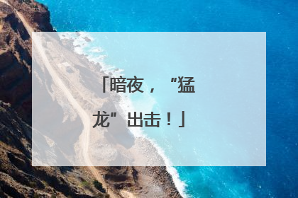 暗夜，“猛龙”出击！