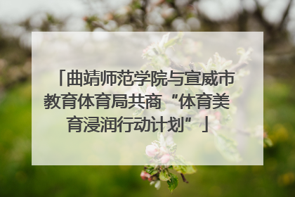 曲靖师范学院与宣威市教育体育局共商“体育美育浸润行动计划”