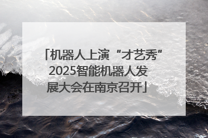 机器人上演“才艺秀” 2025智能机器人发展大会在南京召开