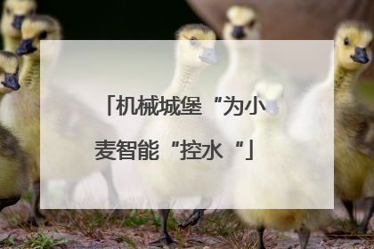 机械城堡“为小麦智能“控水“