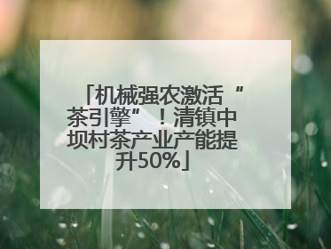 机械强农激活“茶引擎”！清镇中坝村茶产业产能提升50%