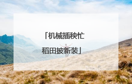 机械插秧忙 稻田披新装