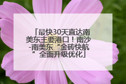 最快30天直达南美东主要港口！南沙-南美东“金砖快航”全面升级优化