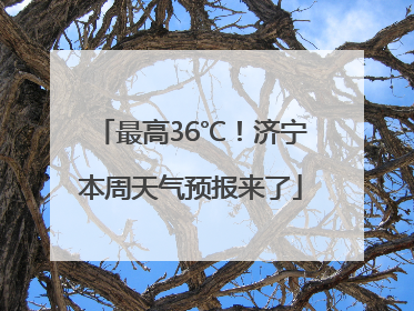 最高36℃！济宁本周天气预报来了
