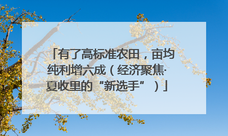 有了高标准农田，亩均纯利增六成（经济聚焦·夏收里的“新选手”）