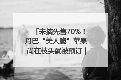 未摘先售70%！丹巴“美人脆”苹果尚在枝头就被预订｜长征路上看四川