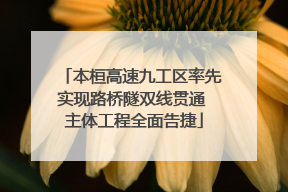 本桓高速九工区率先实现路桥隧双线贯通 主体工程全面告捷