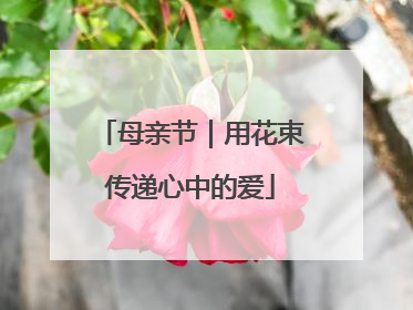母亲节｜用花束传递心中的爱