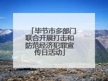 毕节市多部门联合开展打击和防范经济犯罪宣传日活动