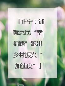 正宁：铺就惠民“幸福路”跑出乡村振兴“加速度”