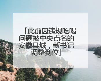 此前因违规吃喝问题被中央点名的安徽县城，新书记调整到位