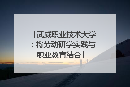 武威职业技术大学：将劳动研学实践与职业教育结合