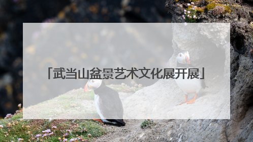 武当山盆景艺术文化展开展
