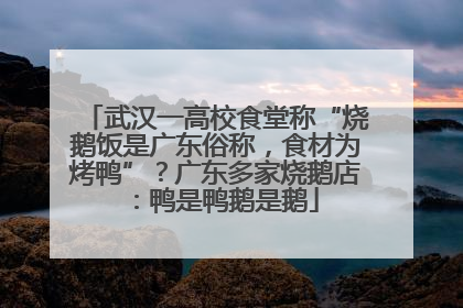 武汉一高校食堂称“烧鹅饭是广东俗称，食材为烤鸭”？广东多家烧鹅店：鸭是鸭鹅是鹅