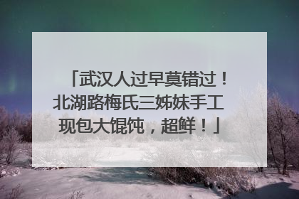 武汉人过早莫错过！北湖路梅氏三姊妹手工现包大馄饨，超鲜！