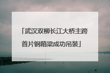 武汉双柳长江大桥主跨首片钢箱梁成功吊装