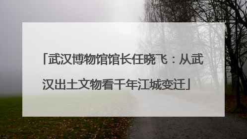 武汉博物馆馆长任晓飞：从武汉出土文物看千年江城变迁