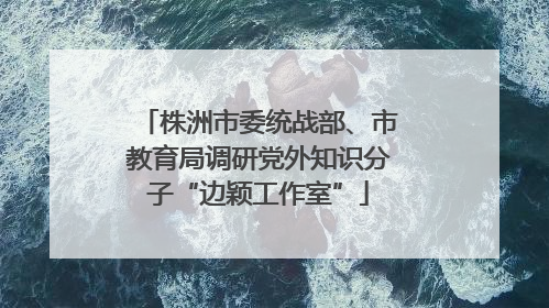 株洲市委统战部、市教育局调研党外知识分子“边颖工作室”