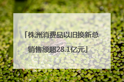 株洲消费品以旧换新总销售额超28.1亿元