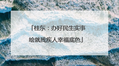 桂东：办好民生实事 绘就残疾人幸福底色