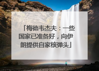 梅德韦杰夫：一些国家已准备好，向伊朗提供自家核弹头