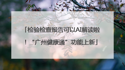检验检查报告可以AI解读啦！“广州健康通”功能上新