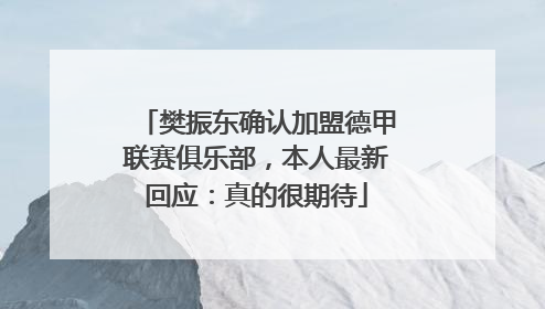 樊振东确认加盟德甲联赛俱乐部，本人最新回应：真的很期待