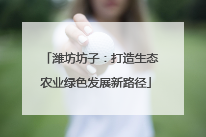 潍坊坊子：打造生态农业绿色发展新路径