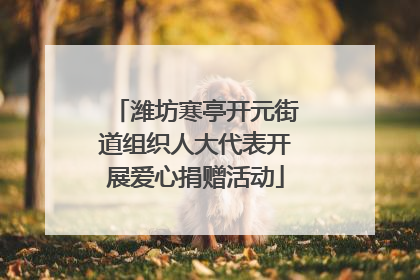 潍坊寒亭开元街道组织人大代表开展爱心捐赠活动