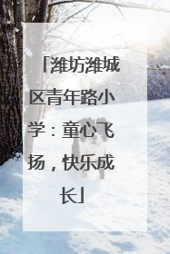 潍坊潍城区青年路小学：童心飞扬，快乐成长