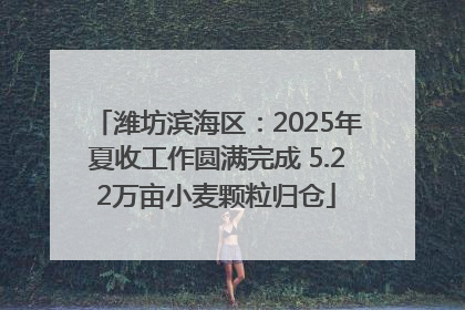 潍坊滨海区：2025年夏收工作圆满完成 5.22万亩小麦颗粒归仓