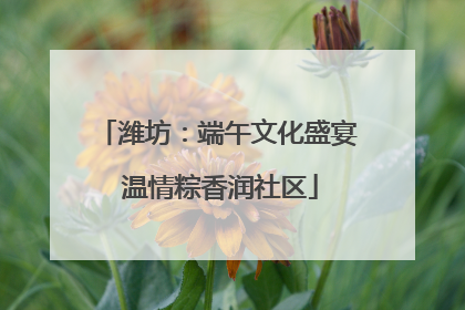 潍坊：端午文化盛宴 温情粽香润社区