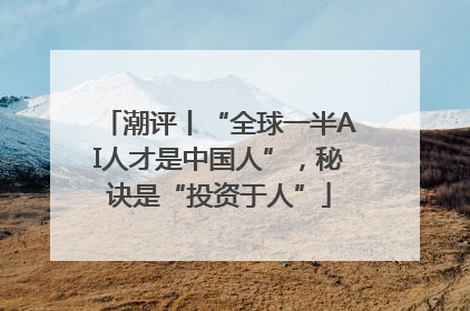 潮评丨“全球一半AI人才是中国人”，秘诀是“投资于人”