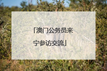 澳门公务员来宁参访交流