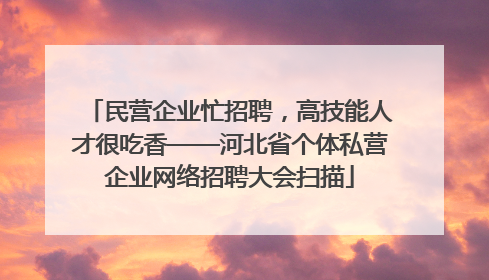 民营企业忙招聘，高技能人才很吃香——河北省个体私营企业网络招聘大会扫描