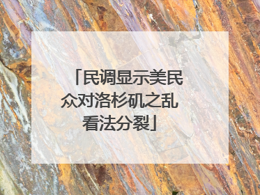 民调显示美民众对洛杉矶之乱看法分裂