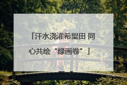 汗水浇灌希望田 同心共绘“绿画卷”
