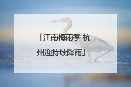 江南梅雨季 杭州迎持续降雨